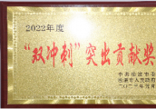 2022年度“双冲刺”突出贡献奖
